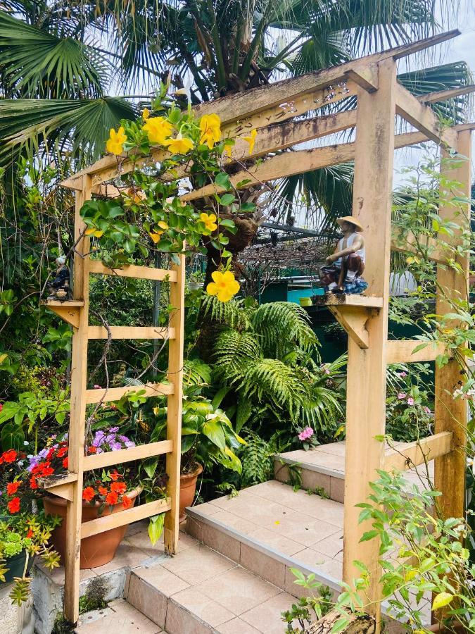 Chambres D'Hotes L'Orchidee Rose 살라지 외부 사진