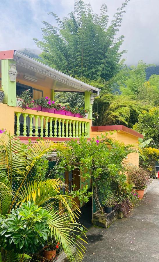 Chambres D'Hotes L'Orchidee Rose 살라지 외부 사진