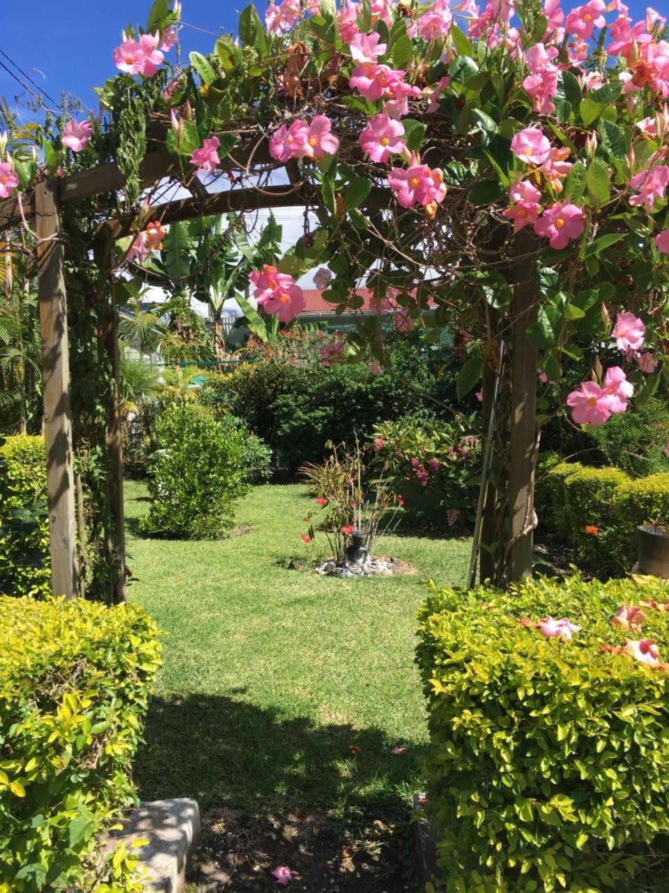 Chambres D'Hotes L'Orchidee Rose 살라지 외부 사진